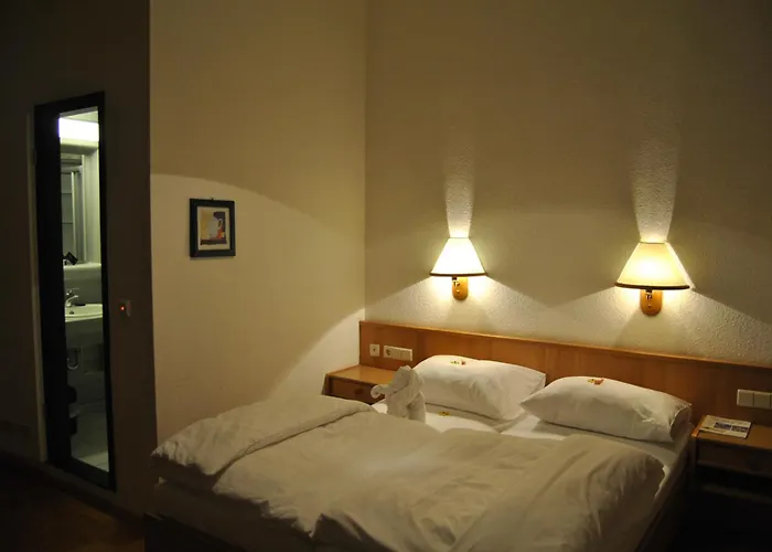 Lodner Drei Mohren 3* Lauingen